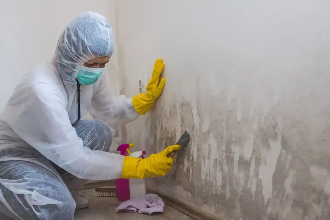 water damage restoration service Forest Park West
